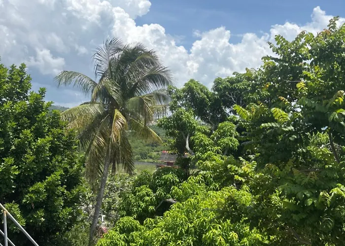 Penthouse 1 Privatunterkunft Montego Bay